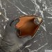 Louis Vuitton Trio Toilet Pouch