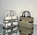 Dior Medium Book Tote