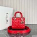 Dior Medium Lady Dior Bag