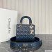 Dior Medium Lady Dior Bag
