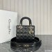 Dior Medium Lady Dior Bag