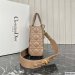 Dior Medium Lady Dior Bag