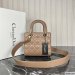 Dior Medium Lady Dior Bag