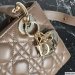 Dior Medium Lady Dior Bag