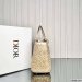 Medium Lady Dior My ABCDior Bag