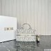 Dior Mini Book Tote