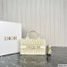 Dior Mini Book Tote