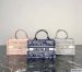Dior Mini Book Tote