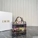 Dior Mini Book Tote