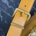 Miu Miu Arcadie Leather Bag