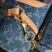 Louis Vuitton Papillon
