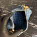 Louis Vuitton Papillon