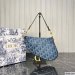 Dior Saddle Bag With Strap
