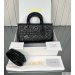 Small Lady D-Sire My ABCDior Bag