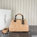 Dior The Lady 95.22 Medium Bag